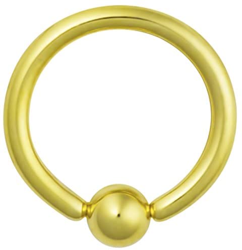 Set of 2: 16g Gold IP Plated Daith Earring, Eyebrow Ring and Rook Piercing Jewelry, Hoop & Curved Barbell