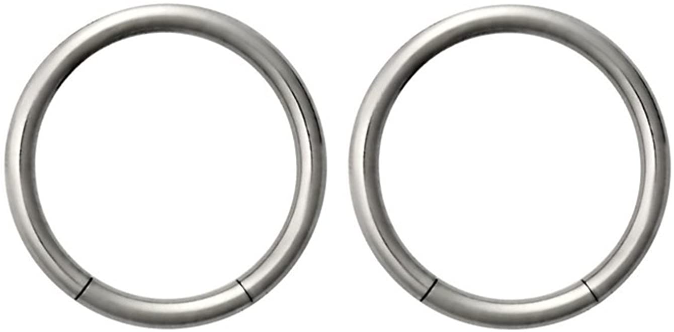 Forbidden Body Jewelry Set of 14g 3/8 Inch Surgical Steel Seamless Segment Hoop Piercing Rings