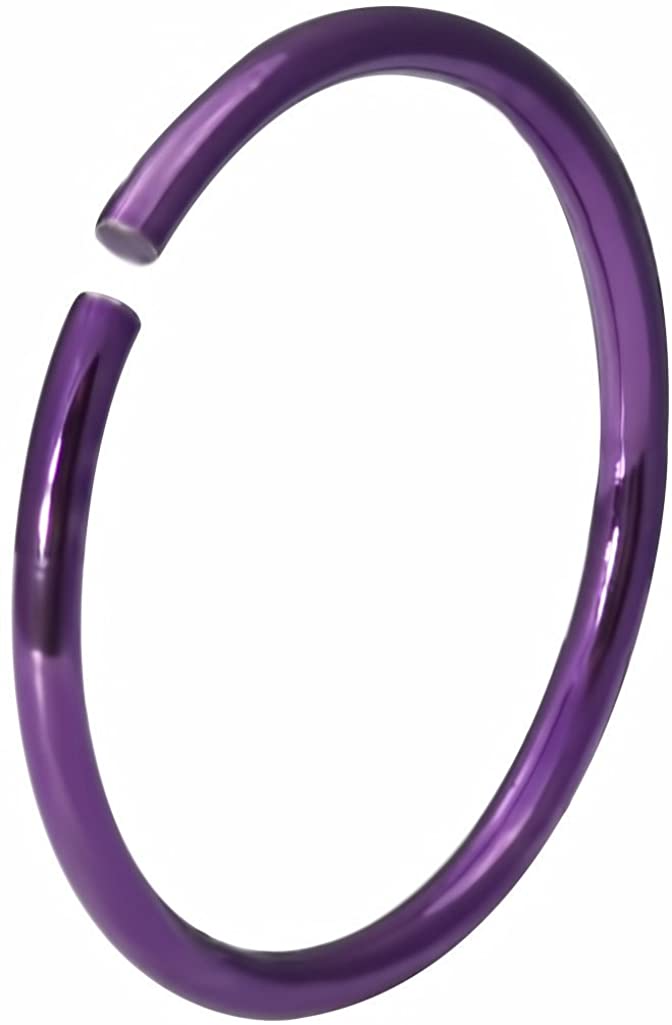 Forbidden Body Jewelry 20g Surgical Steel Titanium IP Purple 8mm Small Nose Hoop