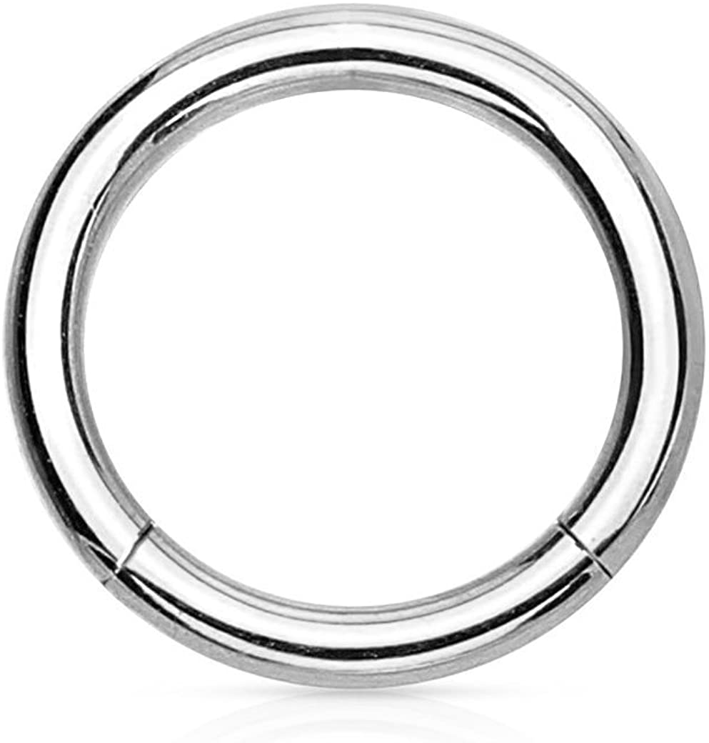 14G-16G Surgical Steel Seamless Segment Body Piercing Hoop (Sold Individually)