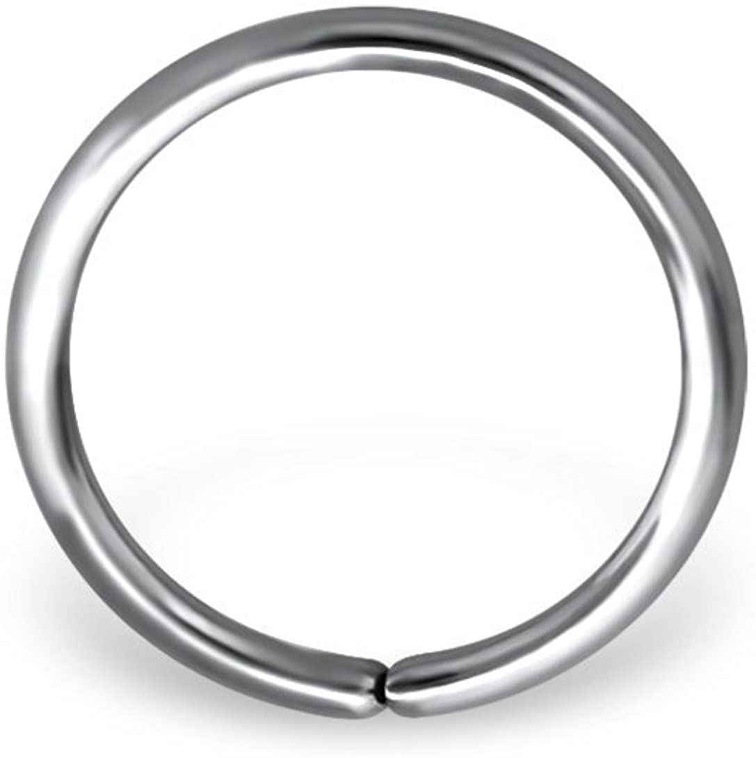 Forbidden Body Jewelry 20g 8mm (5/16 Inch) Surgical Steel Nose Piercing Hoop