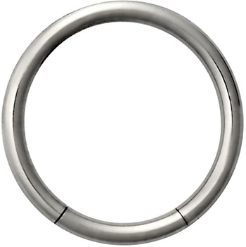 Forbidden Body Jewelry 16g 3/8 Inch Surgical Steel Segment Hoop Ring Circular Barbell