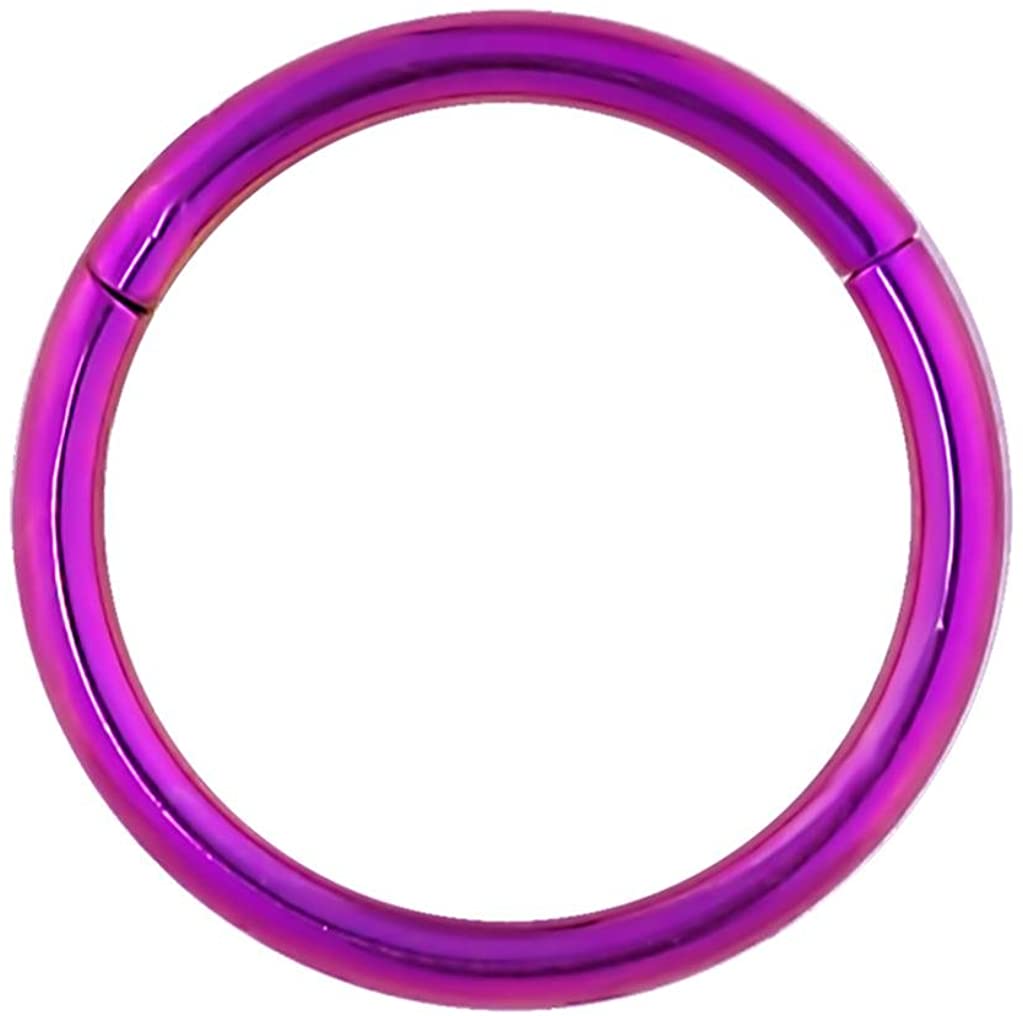 Forbidden Body Jewelry 16G 8-10mm Surgical Steel Hinged Easy Use Seamless Hoop Body Piercing Ring (Purple/Blue/Green)