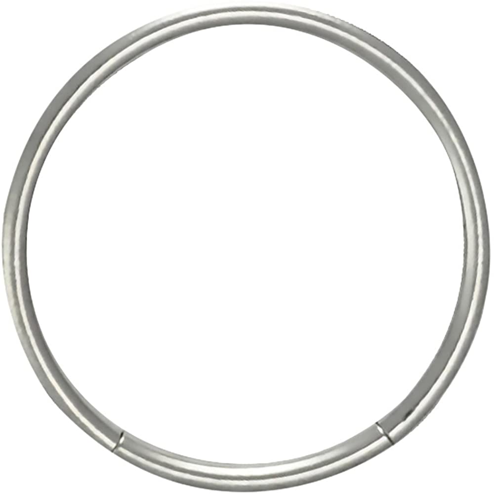 Forbidden Body Jewelry 18g 1/2 Inch Surgical Steel Seamless Segment Hoop Piercing Ring