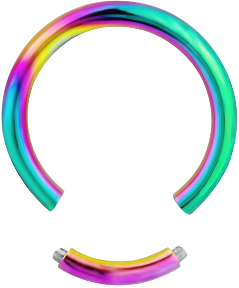 Forbidden Body Jewelry Set of 2 Seamless Cartilage Hoop Earrings: 16g 5/16 Inch Surgical Steel & IP Plated Rainbow Hoops