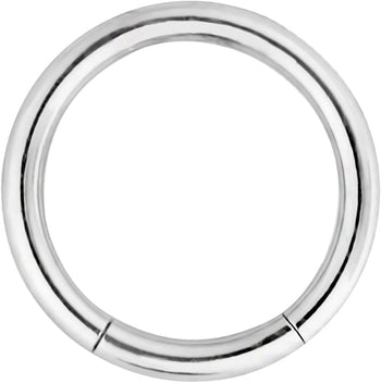 Forbidden Body Jewelry 16g 5/16 Inch Surgical Steel Segment Hoop Ring Circular Barbell