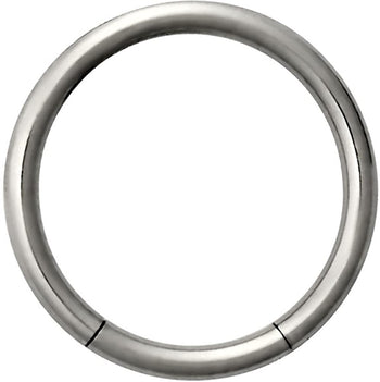 Forbidden Body Jewelry 14g 1/2 Inch Surgical Steel Seamless Segment Hoop Piercing Ring