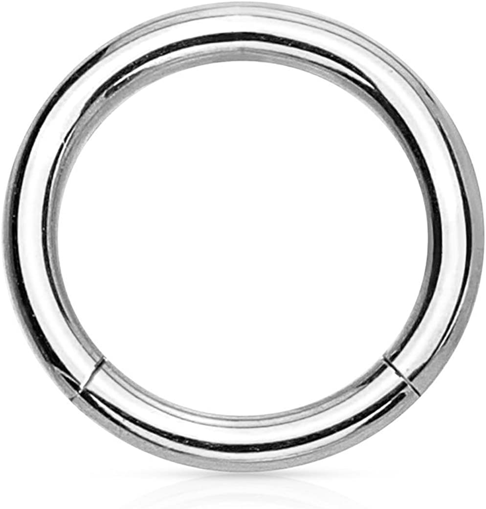 14G-16G Surgical Steel Seamless Segment Body Piercing Hoop (Sold Individually)