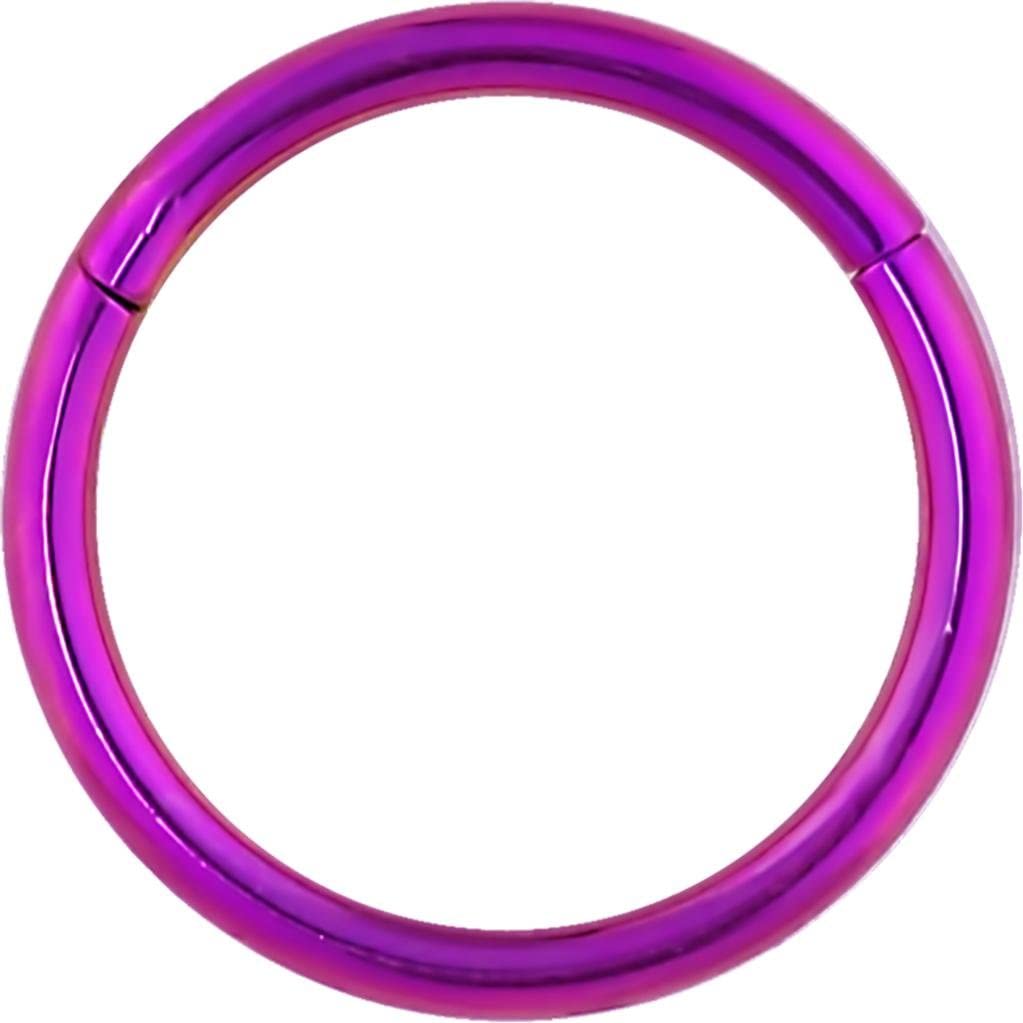 Forbidden Body Jewelry 16G 8-10mm Surgical Steel Hinged Easy Use Seamless Hoop Body Piercing Ring (Purple/Blue/Green)