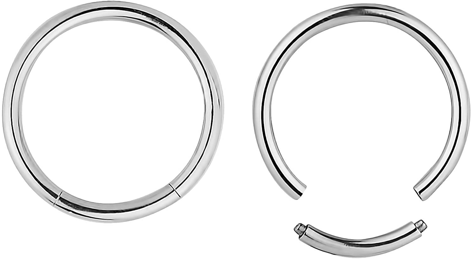 Forbidden Body Jewelry Pair of 316L Surgical Steel Seamless Segment Hoop Piercing Rings