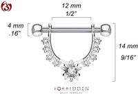 Forbidden Body Jewelry Pair of Surgical Steel 1/2 Inch (12mm) D-Ring Style CZ Star Dangle Nipple Barbells