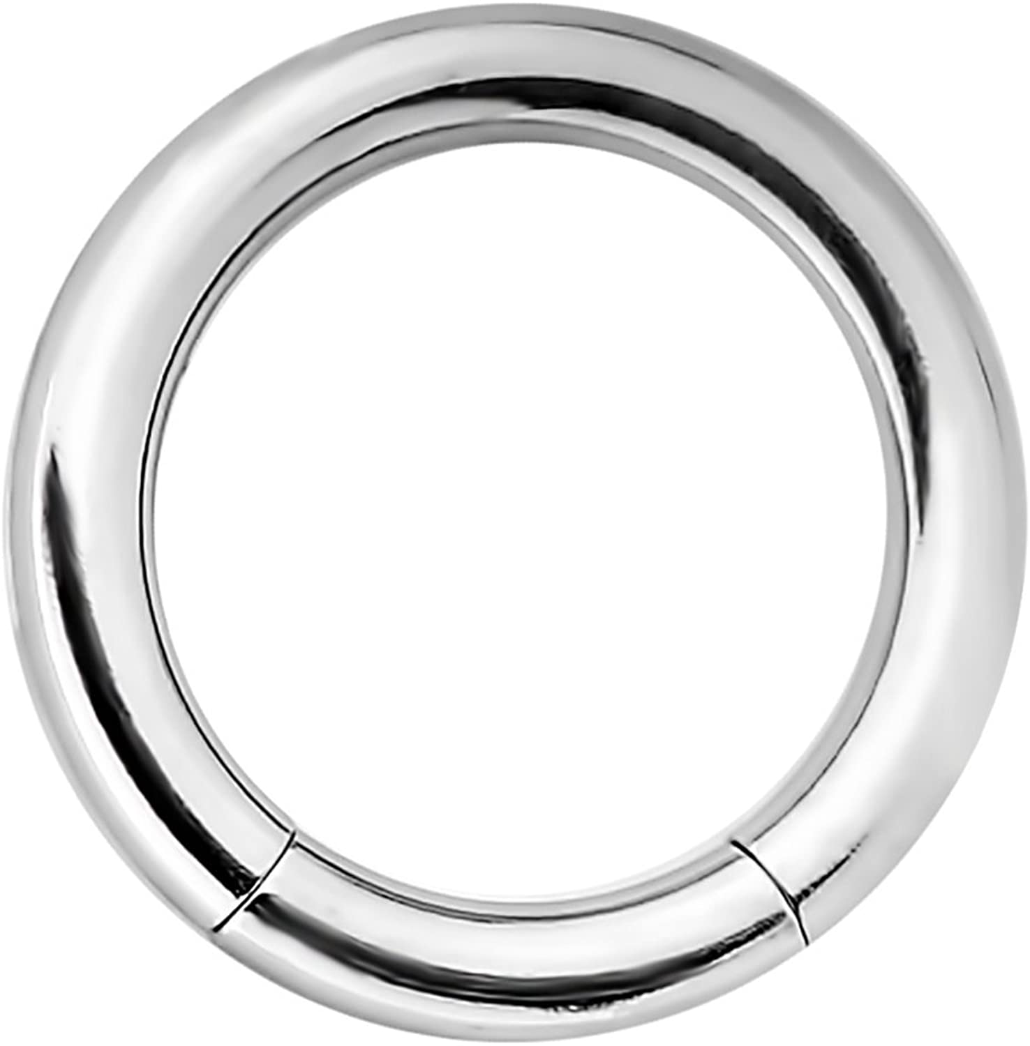 Forbidden Body Jewelry 14g 5/16 Inch Surgical Steel Segment Hoop Ring Circular Barbell