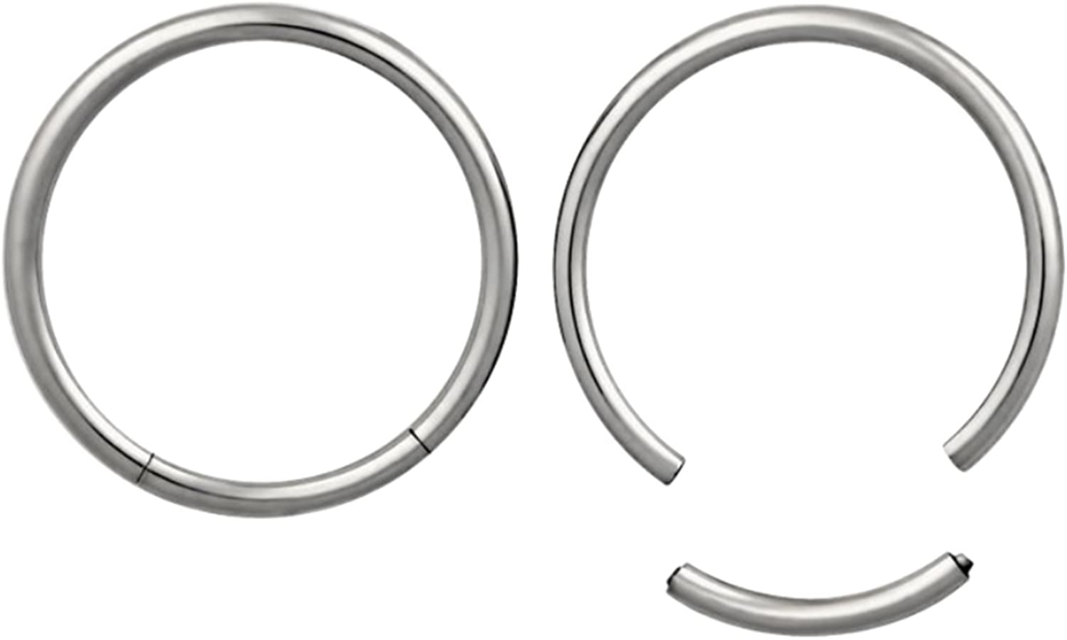 Forbidden Body Jewelry Pair of 316L Surgical Steel Seamless Segment Hoop Piercing Rings