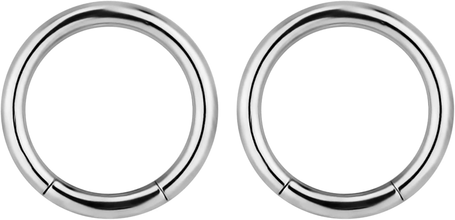 Forbidden Body Jewelry Pair of 316L Surgical Steel Seamless Segment Hoop Piercing Rings