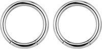 Forbidden Body Jewelry Pair of 316L Surgical Steel Seamless Segment Hoop Piercing Rings