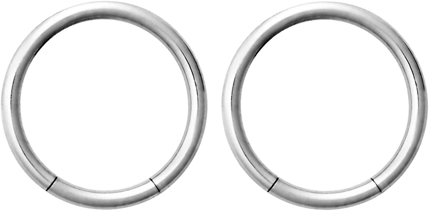 Forbidden Body Jewelry Pair of 316L Surgical Steel Seamless Segment Hoop Piercing Rings