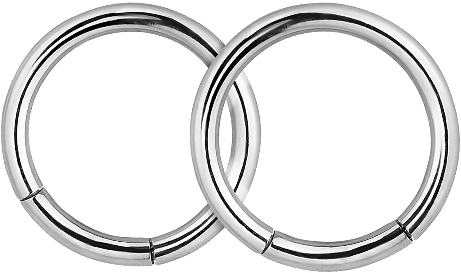 Forbidden Body Jewelry Pair of 316L Surgical Steel Seamless Segment Hoop Piercing Rings