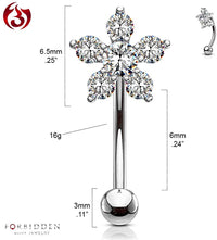 Forbidden Body Jewelry 16g 6mm Surgical Steel Curved Barbell for Daith, Eyebrow, Rook & Belly Button with CZ Floral Top