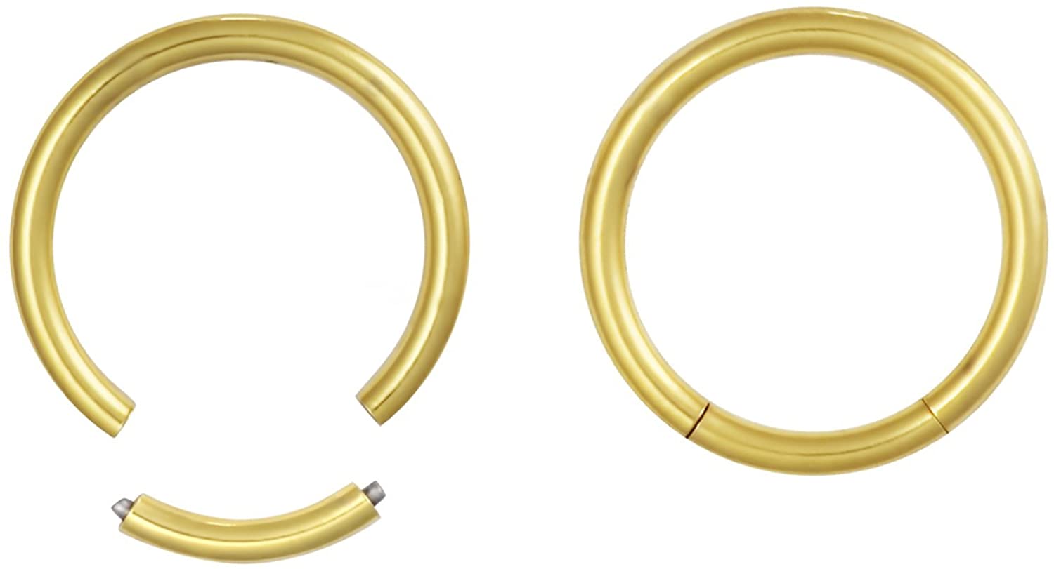 Forbidden Body Jewelry Pair of 2 Segment Rings: 14g 1/2" Surgical Steel Gold IP Plated Seamless Hoop Earrings