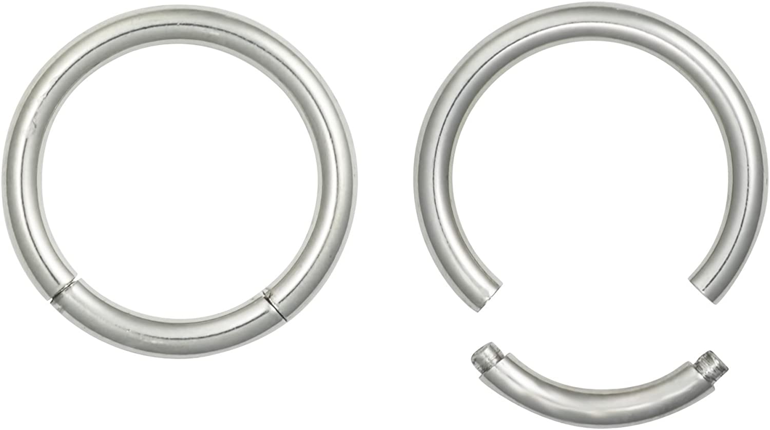 Forbidden Body Jewelry Pair of 316L Surgical Steel Seamless Segment Hoop Piercing Rings