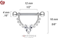 Forbidden Body Jewelry Pair of Surgical Steel 1/2 Inch (12mm) D-Ring Style CZ Heart Dangle Nipple Barbells