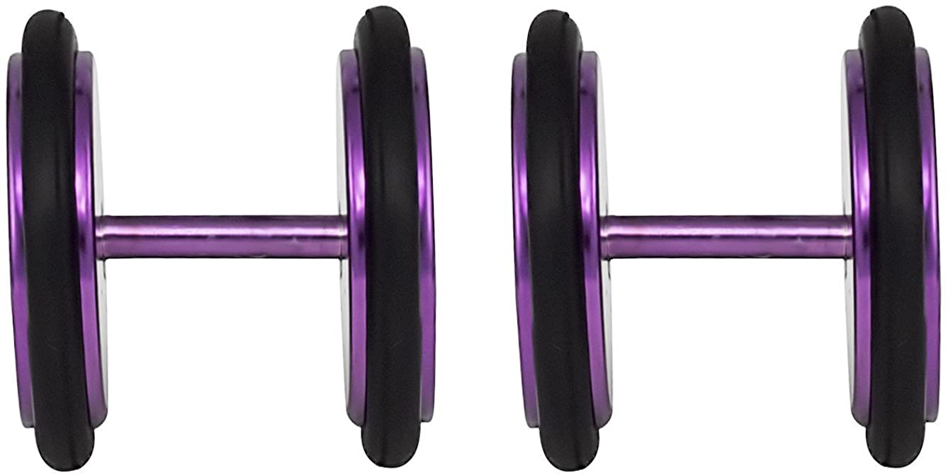 Forbidden Body Jewelry 16g 10mm Titanium IP Purple Surgical Steel Cheater Plug Earrings, Fake 00 Gauge Earrings