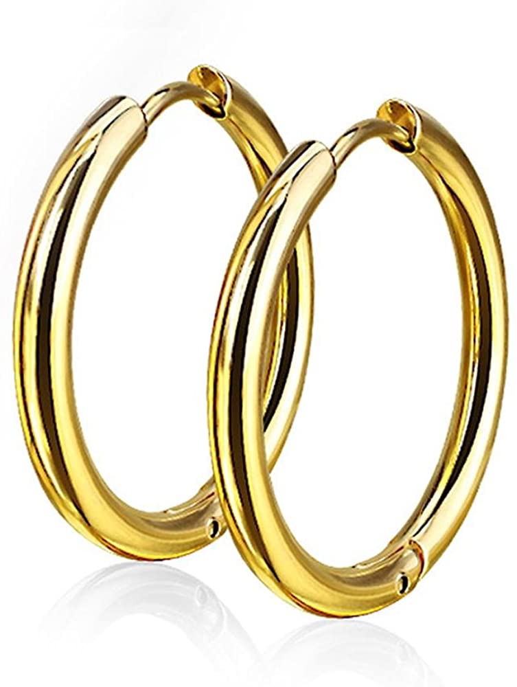 Pair of 10 or 12mm Surgical Steel Hinged Seamless Hoop Earrings