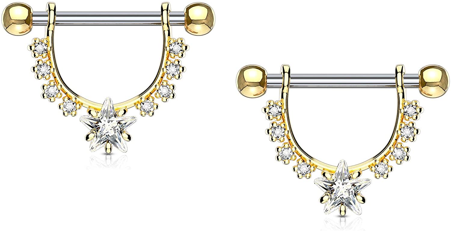 Forbidden Body Jewelry Pair of Surgical Steel 1/2 Inch (12mm) D-Ring Style CZ Star Dangle Nipple Barbells