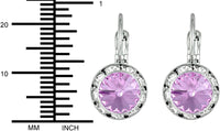 Austrian Crystal Silver Tone Framed Violet Lever Back Earrings for Women