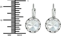 Austrian Crystal Silver Tone Framed Clear Crystal Lever Back Earrings for Women