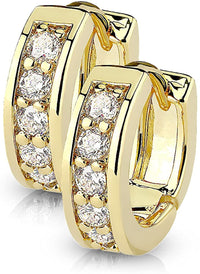 Pair of Surgical Steel/14k Gold Plated/Rose Gold Plated CZ Lined Huggie Hoop Earrings (Choose Style)