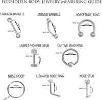 Forbidden Body Jewelry Set of 2 Styles Nose Rings: Sterling Silver Gold Plated 1.25mm CZ Stud and 9mm Nose Hoop