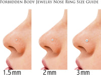 Forbidden Body Jewelry Set of 2 Straight Nose Studs: 20g Surgical Steel Red & Purple Heart Shaped CZ Crystal Nose Rings