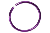 Titanium Anodized Purple Nose Ring Hoop