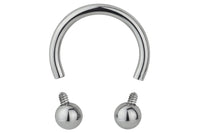 Horseshoe Earring